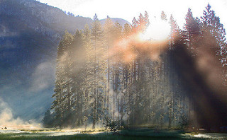 Yosemite National Park